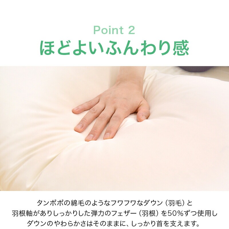 �ۥƥ�ǥ����������ԥ��������뱩����50��70cm�����������������ӱ��Ӥޤ��鱩���������ޤ��鱩���ԥ����ۥƥ���ͼ󤳤긪�����̲����