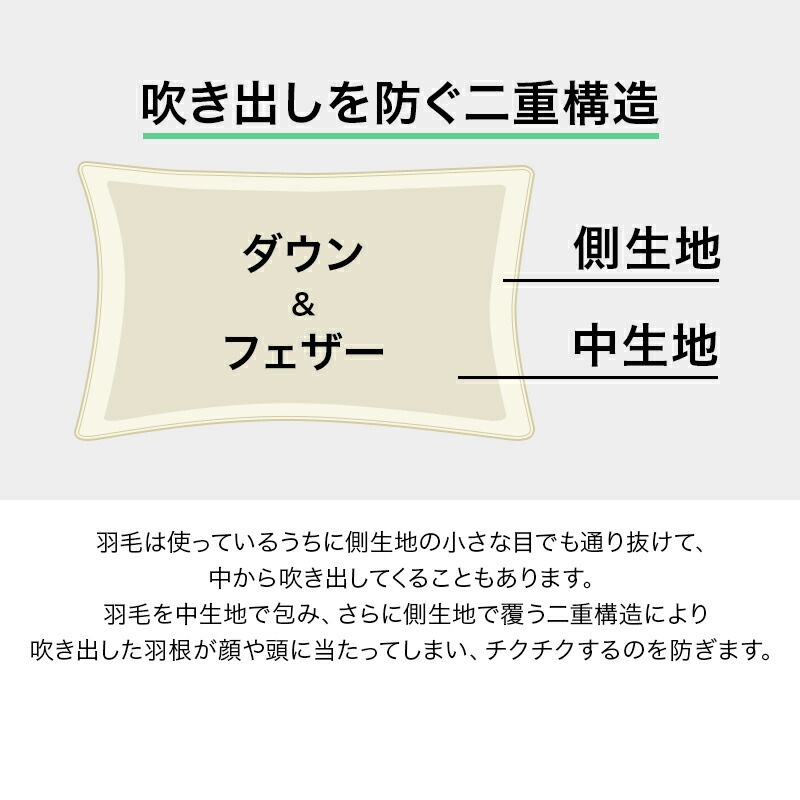 �ۥƥ�ǥ����������ԥ��������뱩����50��70cm�����������������ӱ��Ӥޤ��鱩���������ޤ��鱩���ԥ����ۥƥ���ͼ󤳤긪�����̲����