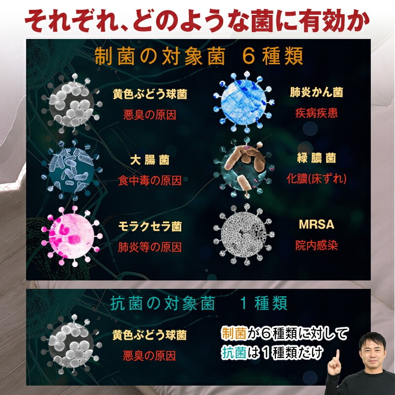 ɥ ɥ   󥰥륵 100210cm ɥ ݲù ƥ ߥå(R)ʻ SEK ߤ 󥰥 դȤ  3ޤ