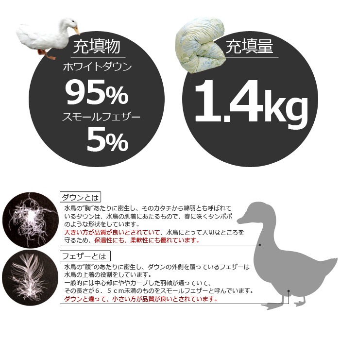 �ǹ�鱩�ӳݤ����ĥ��֥륵�����ۥ磻�ȥ�����95����ѡ����Ϥ��ޤ����ˡڹ�鱩�����ĳ����ı��ӽ��������Ŀ���դȤ��ӳ����ĥ��֥��
