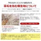 �ǹ�鱩�ӳݤ����ĥ��֥륵�����ۥ磻�ȥ�����95����ѡ����Ϥ��ޤ����ˡڹ�鱩�����ĳ����ı��ӽ��������Ŀ���դȤ��ӳ����ĥ��֥��