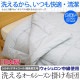 Araemax���饨�ޥå�������ƥ��ʥ��㥳������Ĺú���ϥ�������������ʻ��������륪���륷������ݤ����ĥ��󥰥륵������2���碌�ˡھý����������󥰥�����������������դȤ�����ġ�