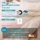 ��������(R)FRESH4�� ��錄���������륪���륷������ݤ����ġ�2���碌�ݤ����ġ�ȩ���� ������� ���󥰥����� ��������(R)FRESH4-hole fiberfill�������������ĥ��󥰡�