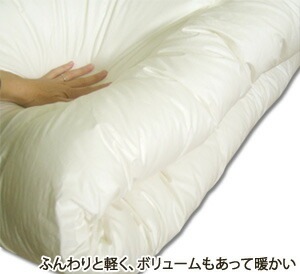 ��̵�ϡ�����ݤ����ĥ��󥰥륵���������ɽ��ù����ʻ��ѡڹ���///������/�����륷�������б���