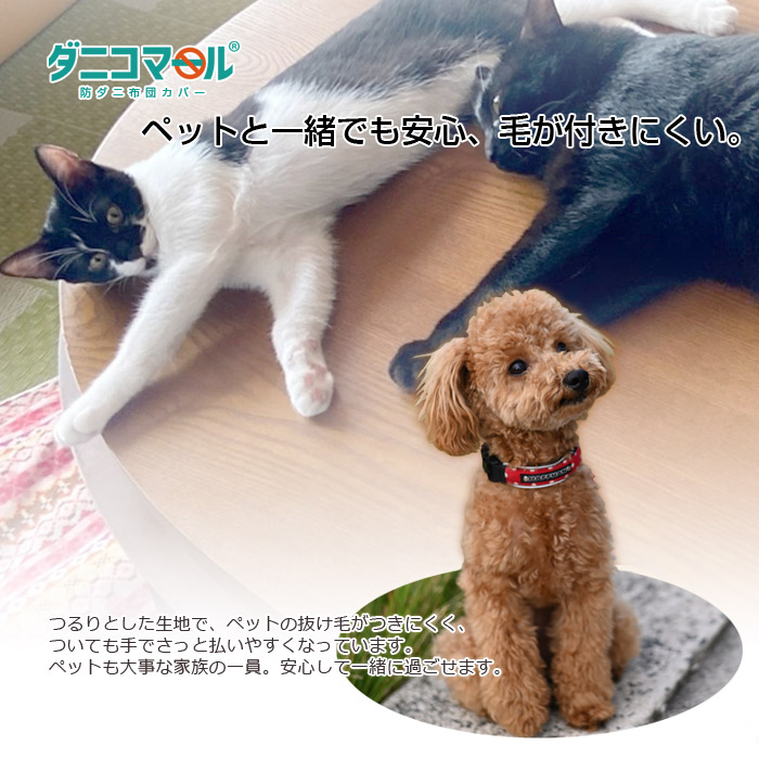 �ɥ��˥��С������ĥ��С����˥��ޡ���(R)�ɥ��˳ݤ����ĥ��С��٥ӡ�/���뿲���ĥ������ڥ٥ӡ����Ĥ��뿲�������ĥ��С��٥ӡ����뿲�٥ӡ������֤����ݥ��С��ɥ��˥����к������ĥ��С��ɥ��˺��Ի��ѡ�