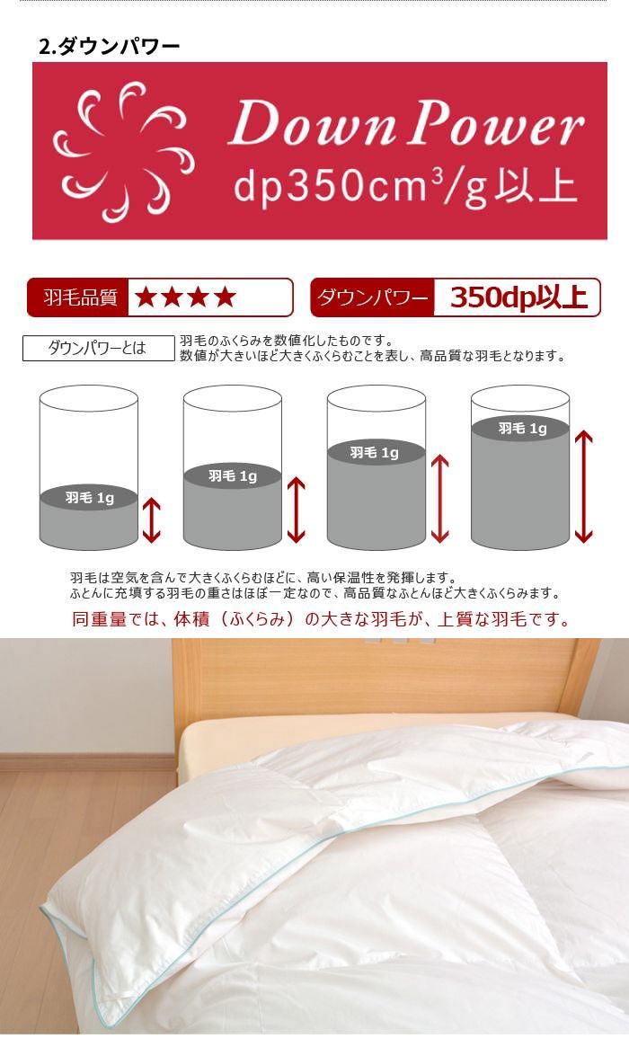 ���������ۥ�����������̵�ϥʥ����뱩�ӹ礤�ݤ����ĥ��󥰥륵�����ۥ磻�ȥ�����90����ѡ�TCEDSA�ˡڱ������ı��ӤդȤ�����Ŀ������������󥰥뤫���դȤ��