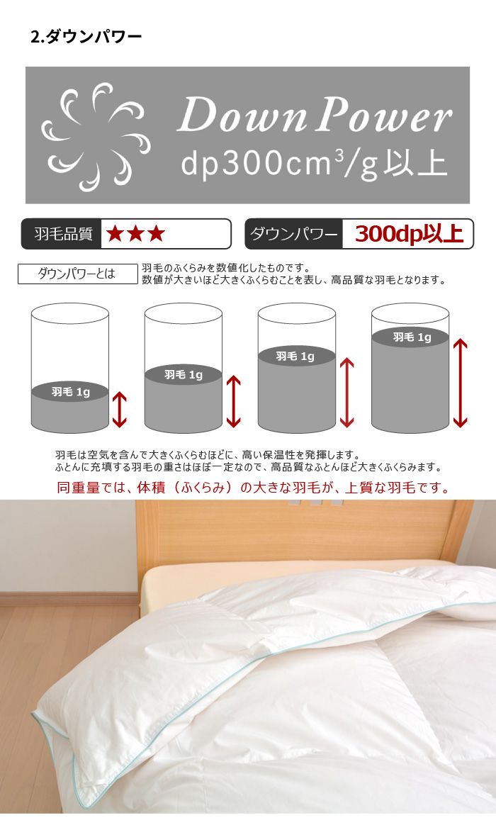 ڼۡۥ̵ϡۥʥ뱩ӹݤĥߥ֥륵TCNDSDAˡڱıӤդȤĹ礤ݤߥ֥ݤѽ߱ӳݤġ