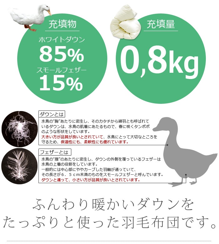 �ڼ��������ۡ��������ۥ�����������̵�ϥʥ����뱩�ӹ�ݤ����ĥ��֥륵������TCNDDA�ˡڹ񻺱������ı��ӤդȤ�����Ĺ礤�ݤ��������������֥�ݤ��������ѽ��߱��ӳݤ����ġ�