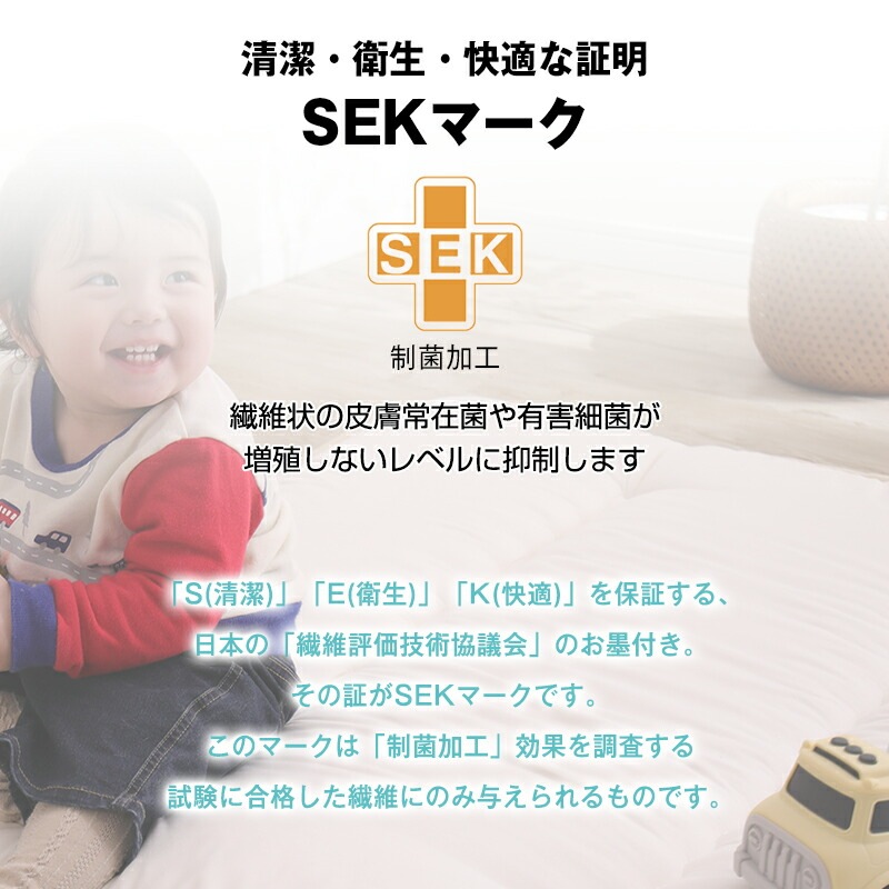 �ɥ������������ �ɥ��� ���� �ݤ����� ���󥰥륵���� �ƥ����� ���ߥ��å�(R)�����������ʻ��� SEK ������ ������ ����<br><br>532P26Feb16