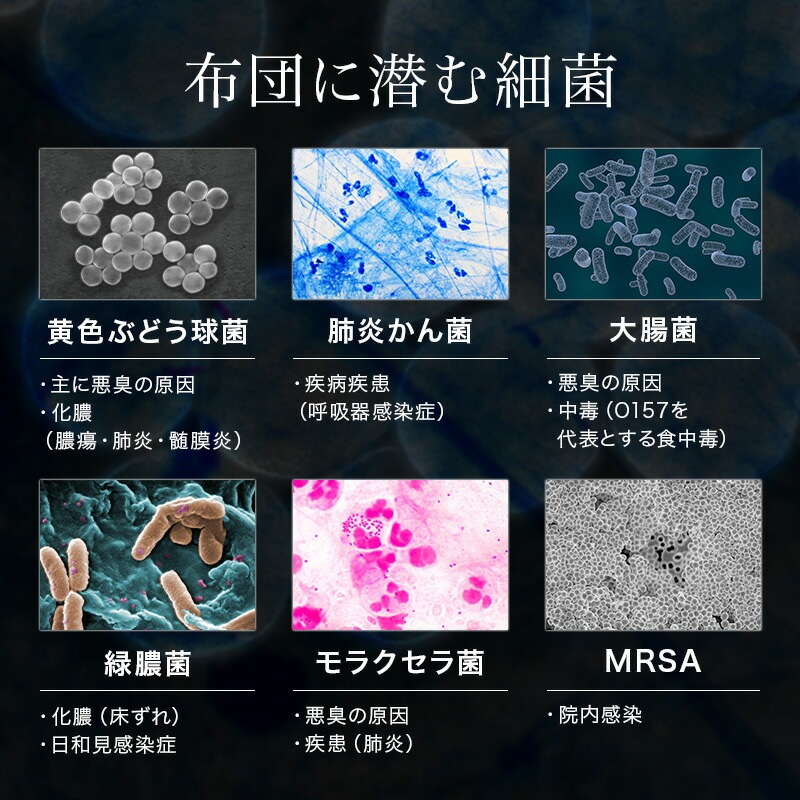 ɥݻĥ󥰥ɥ˥ƥ(R)ƥȥ(R)ߥå(R)/¥եϡ˥(R)ʻ