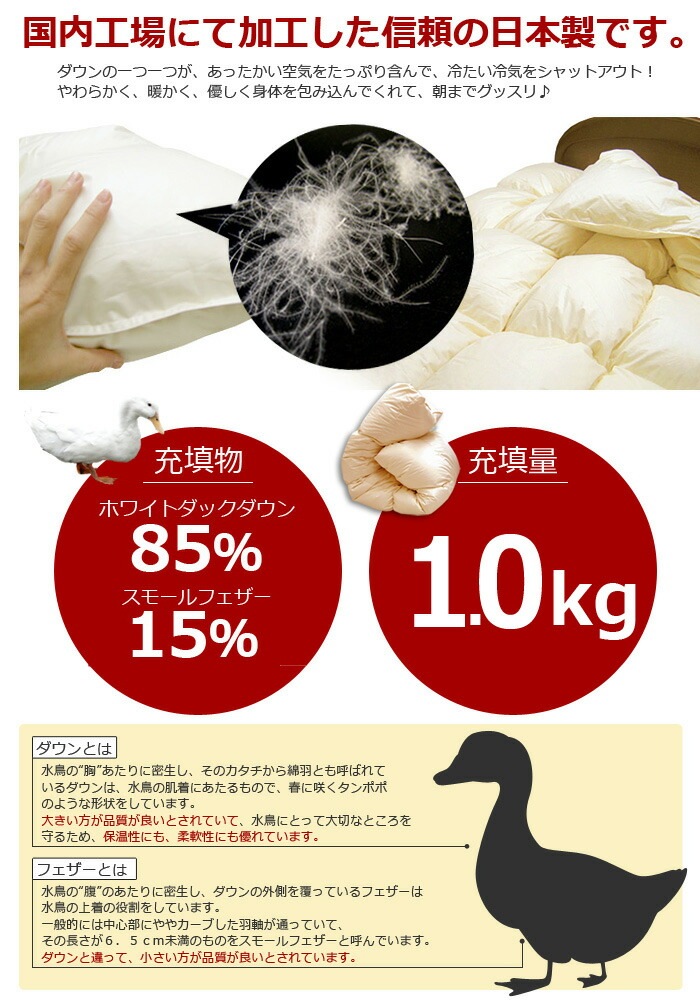 ̵�� ��鱩�ӳݤ����� ���󥰥륵���� �ڥ������르����ɥ�٥�� �ڱ������� ���󥰥� ������ �������� ���� ���󥰥륵���� ���󥰥���󥰥����� ������ �ݤ����� ���ѡ�