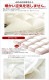 ̵�Ϲ�鱩�ӳݤ����ĥ������󥵥����ڥ������르����ɥ�٥�ۡڱ������ĥ�����������Ĥ������Ŀ��񥯥����󥵥����������󥵥����������ݤ��������ѡ�