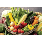 【道の駅さかいイチオシ】新鮮野菜セット