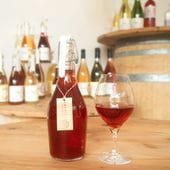【2024】さかいまちRed 500ml