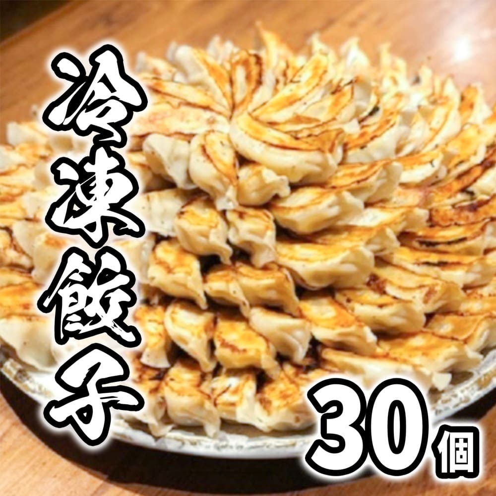 【道の駅さかいオリジナル】特製餃子