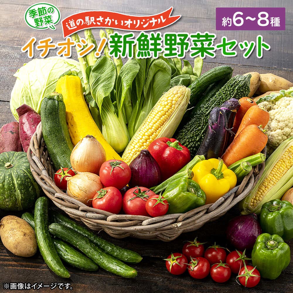 【道の駅さかいイチオシ】新鮮野菜セット | 食品・スイーツ | 道の駅さかい