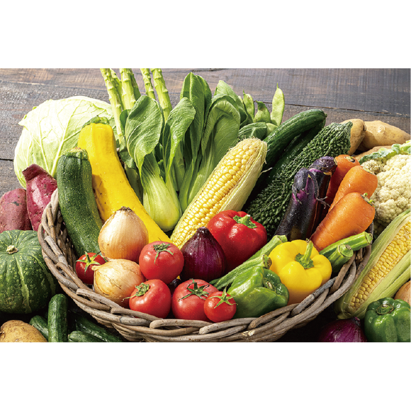 道の駅さかいイチオシ】新鮮野菜セット | 道の駅さかいオリジナル商品