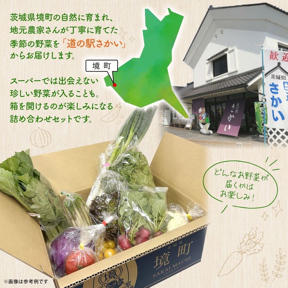 【道の駅さかいイチオシ】新鮮野菜セット