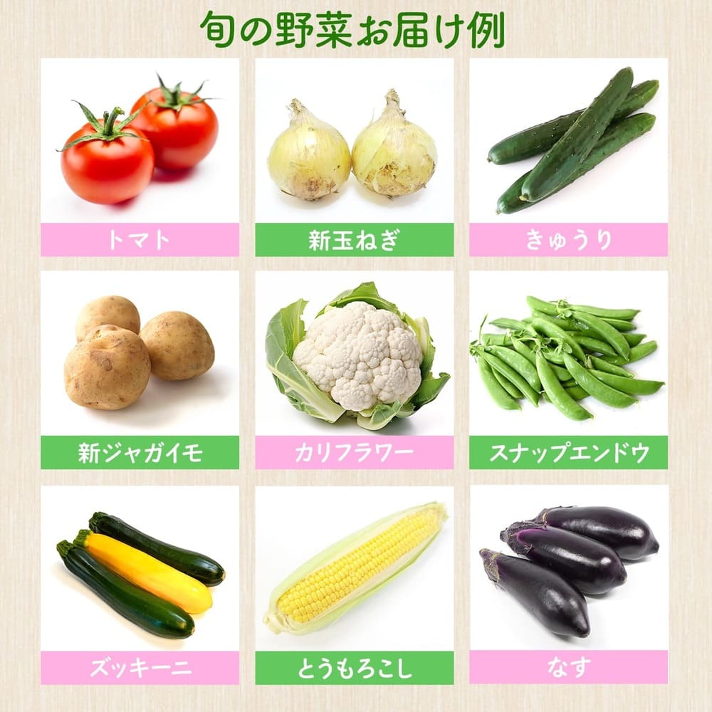 【道の駅さかいイチオシ】新鮮野菜セット