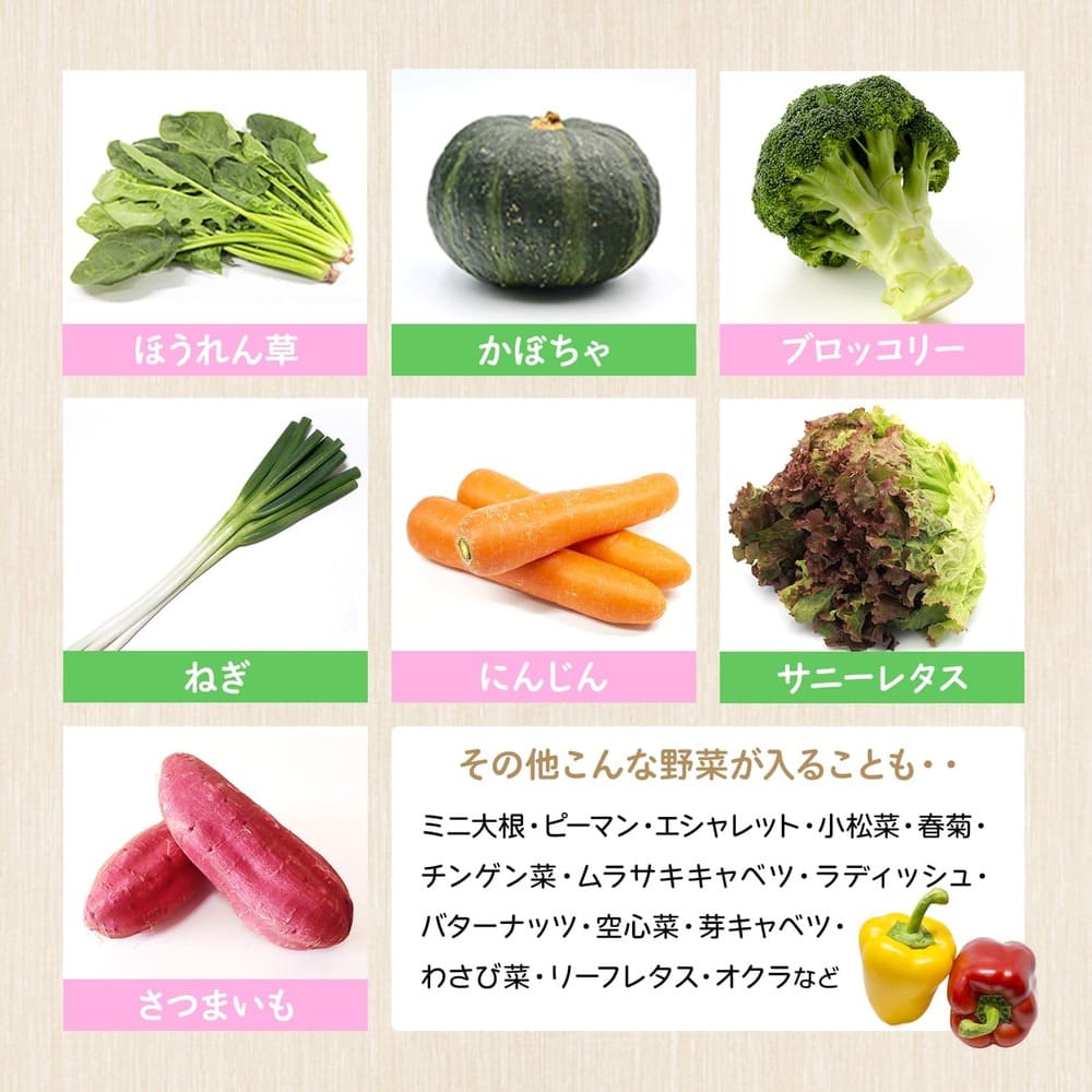 【道の駅さかいイチオシ】新鮮野菜セット