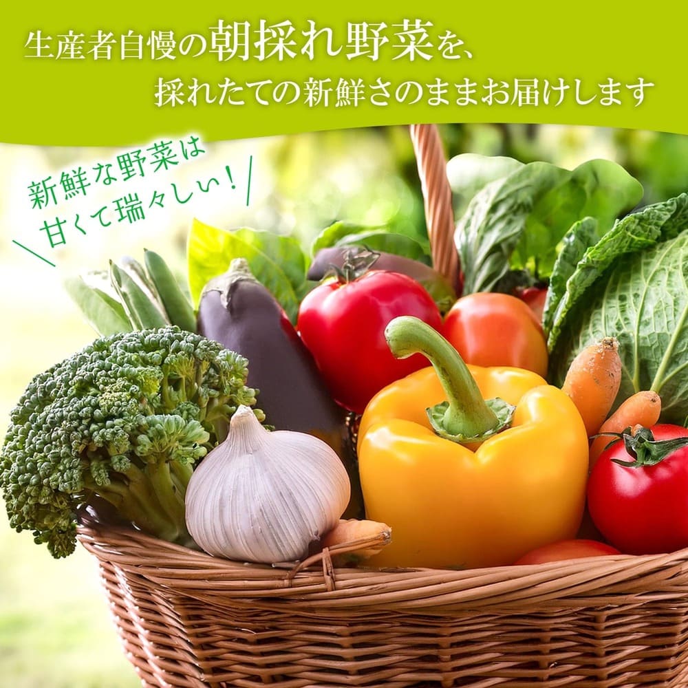 【道の駅さかいイチオシ】新鮮野菜セット