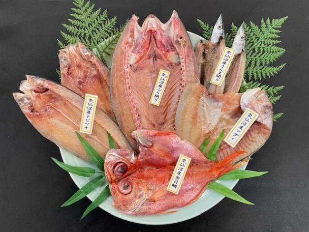 魚の敵　様　12本セット　ご検討中専用です。 高知県・須崎産】朝獲れ！船上神経締め鮮魚ボックス 魚種 3〜5種【九石