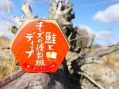 ���ȥ��������������ǥ��å�