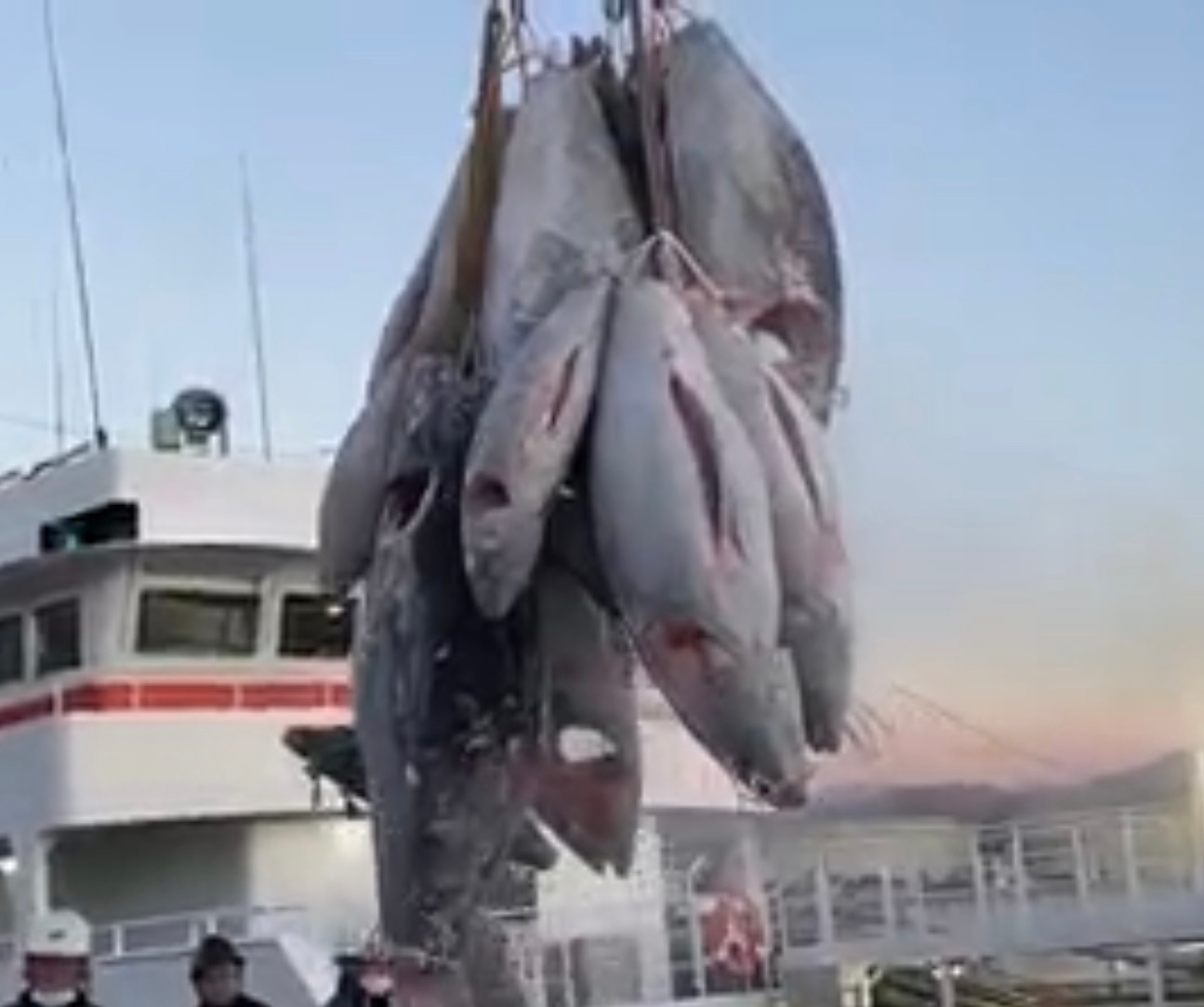 MSCǧڡ쾼ʡݤζ˾ŷܥޥڤ3糧åȡ2