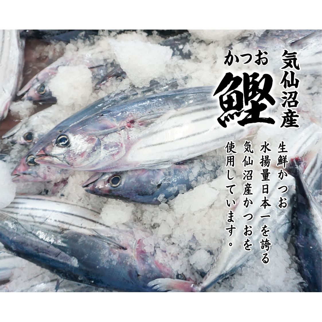 ����¹������Ĥ����ݡʻݿɥ�����