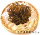 �ڽܤθ����ʡۻ�Φ�����ᤫ�֤Ⱦ�ʡ��ŷ���ᥫ�����Τ���֤���֥��å�