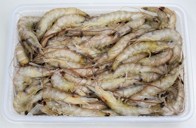 長崎県産　冷凍芝海老（ブロック凍結）1kg（500g×2）