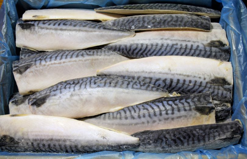 ノルウェー産 塩鯖フィーレ 36枚（1枚約139g）