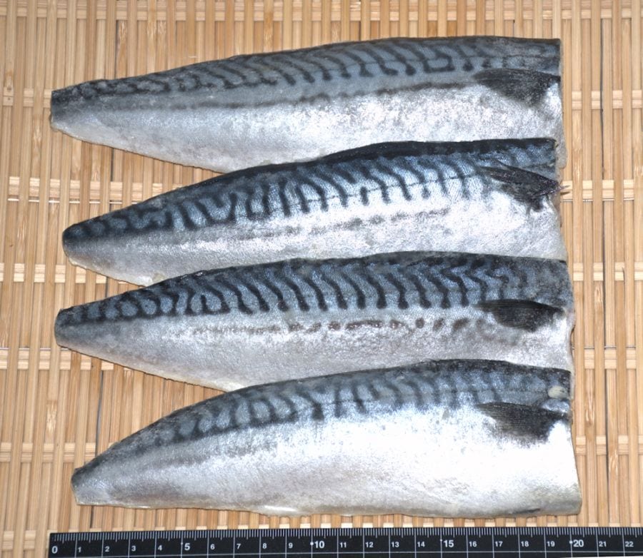 ノルウェー産 塩鯖フィーレ 40枚（1枚約125g）　