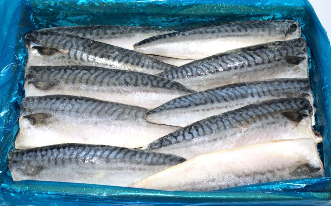 ノルウェー産 真鯖フィーレ 30枚（約1枚166g）
