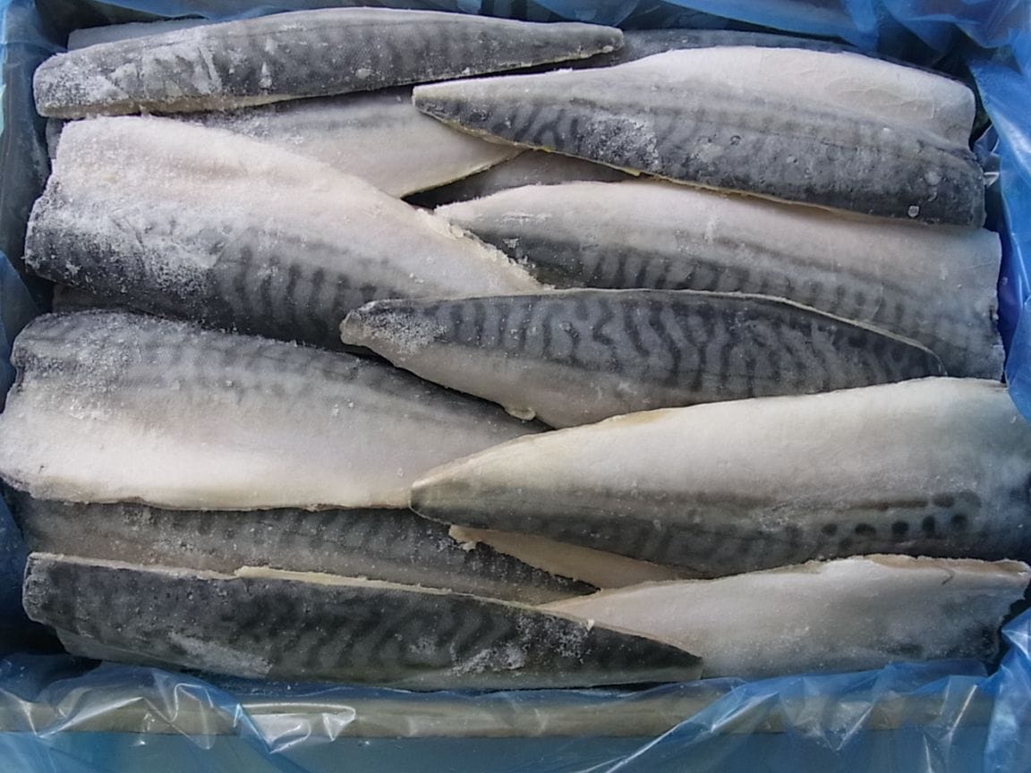 ノルウェー産 真鯖フィーレ 45枚（約1枚111g）