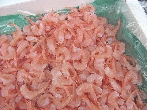 かき揚げに最適な姫甘エビ