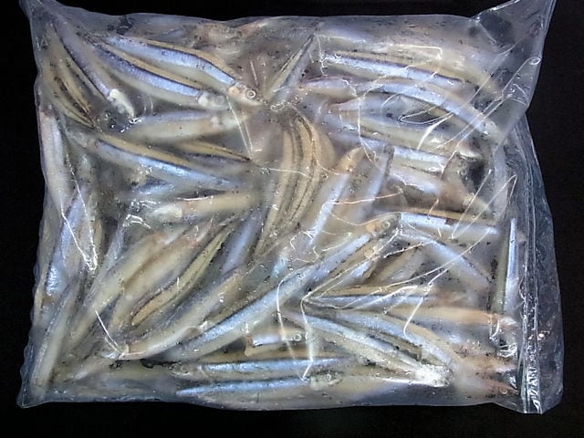 きびなご（バラ凍結）1kg×10袋