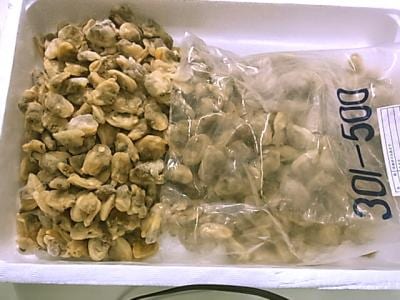 ボイルあさりむき身300/500粒（1kg×10袋）