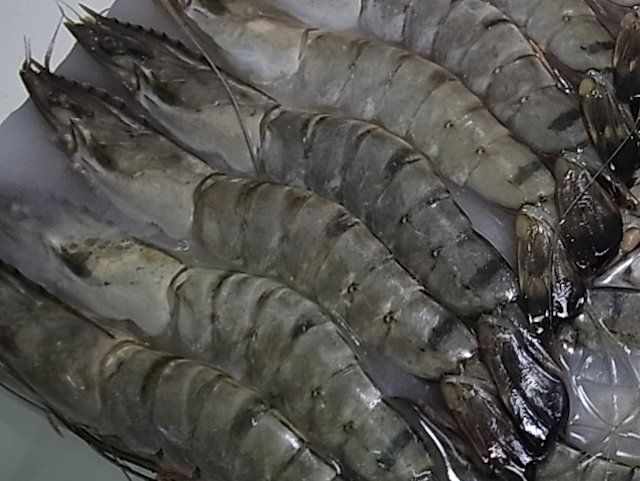有頭ブラックタイガー海老　30尾