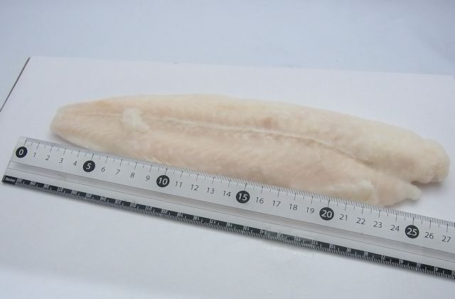 バサフィッシュ （4枚入り）
