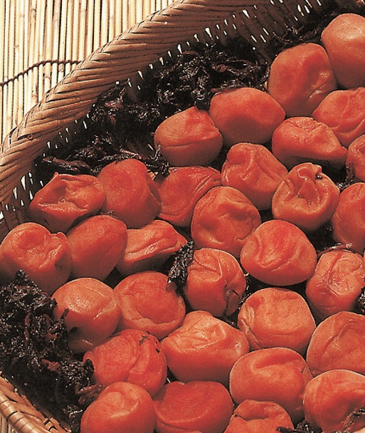 梅干920gﾎﾟﾘ樽入(1035)| （株）坂利製麺所 公式オンラインショップ