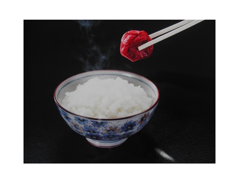 干し梅さん専用　正平革 干し梅さん専用 正平革