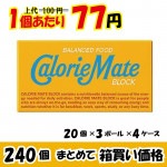【業務用ケース販売】　大塚製薬　カロリーメイト　ブロック　バニラ味　２本×２４０個　【数量限定】【２３％オフ】