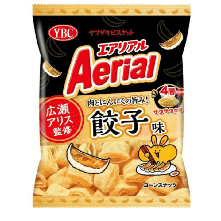 【賞味間近！66%オフ～】エアリアル　餃子味　※賞味期限2026年9月30日