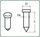˾ߥԥ 0.75mm ʤĤǥơ륢åסΥ󥹥롡4449