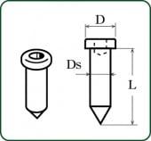 �˾������ߥԥ� 0.5mm ��Ĥ����������Ĥ����ǥ��ơ��륢�åס��Υ󥹥����롡4446