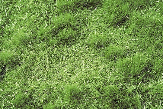 茂みのある牧草地 夏の盛り ：ミニネイチャー 素材 ノンスケール 713