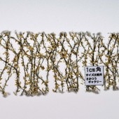 ������Τ������� ������Ϥˡ����ߥ˥ͥ����㡼���Ǻࡡ�Υ󥹥����롡997-24