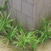 ����II�����¹����Ǻࡡ1/35��A-25T