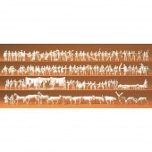 Ŵƻ������ҡ��̹Կ͡�ưʪ���ϡ����������Ӥʤɡˡ�̤����120�Υ��åȡ����ץ饤������̤�������åȡ�N(1/160)��79000